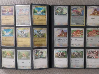 Master Set Llamas Obsidiana Español