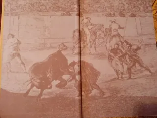 Colección Toros El Cossío de 30 volúmenes
