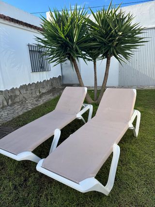 Tumbona Balliu Beige