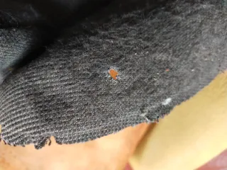 Asiento golf mk2 gti