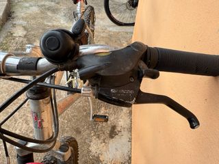 Bicicleta de montaña Globe Trotter