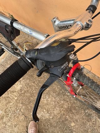 Bicicleta de montaña Globe Trotter