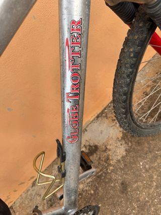 Bicicleta de montaña Globe Trotter