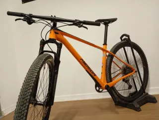 29"Mountain bike full carbon