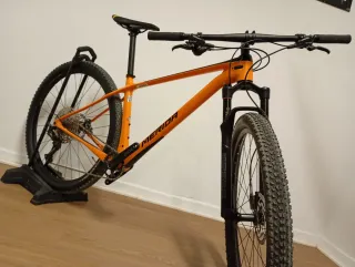 29"Mountain bike full carbon