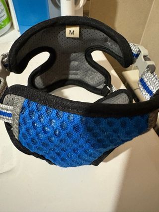 Spazzola a vapore per gatti USB e imbracatura senza guinzaglio