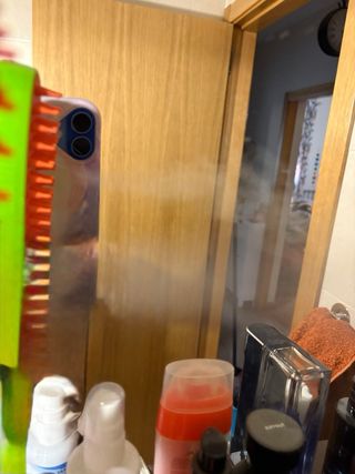 Spazzola a vapore per gatti USB e imbracatura senza guinzaglio