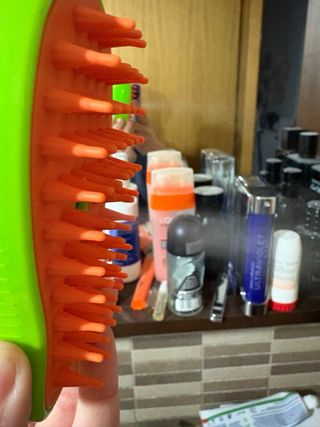 Spazzola a vapore per gatti USB e imbracatura senza guinzaglio