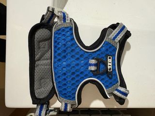 Spazzola a vapore per gatti USB e imbracatura senza guinzaglio