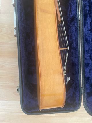 Viola Soprano Fidula con Arco