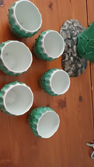 Cactus di ceramica