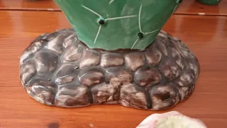 Cactus di ceramica
