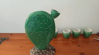 Cactus di ceramica