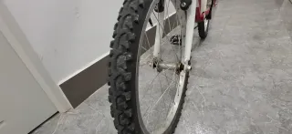 Bicicleta Infantil 20" Esperia