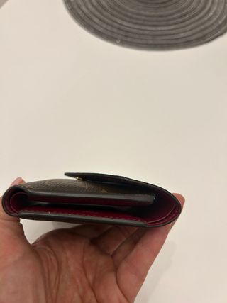 Louis Vuitton Cartera Victorine Marrón