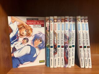 Neogénesis Evangelion