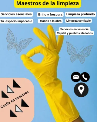 Maestros de la limpieza (cleanmaster)