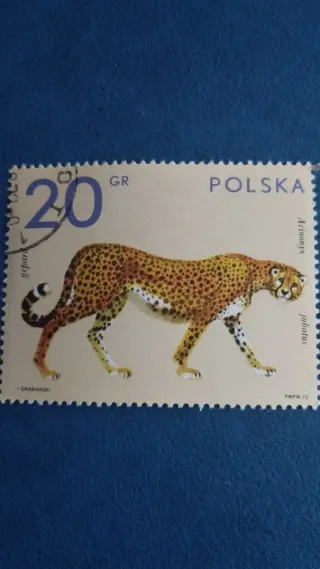 Lote 13 Sellos Polonia Animales