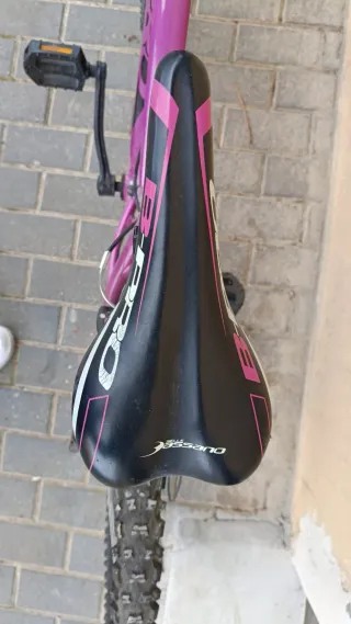 Bicicleta de Montaña Morada