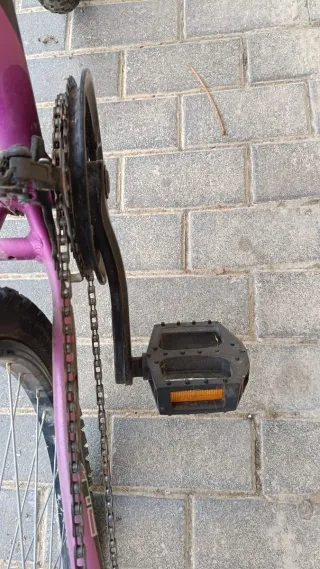 Bicicleta de Montaña Morada