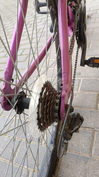 Bicicleta de Montaña Morada