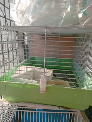 Gabbie per animali domestici