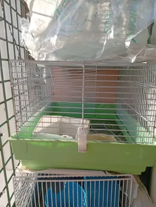 Gabbie per animali domestici