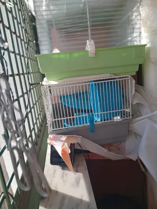 Gabbie per animali domestici