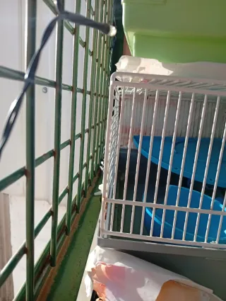 Gabbie per animali domestici