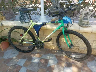 BICICLETA DE MONTAÑA