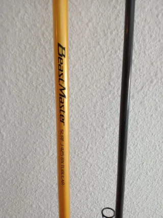 Cañas de surfcasting Shimano