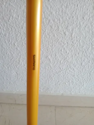 Cañas de surfcasting Shimano