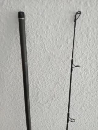 Cañas de surfcasting Shimano