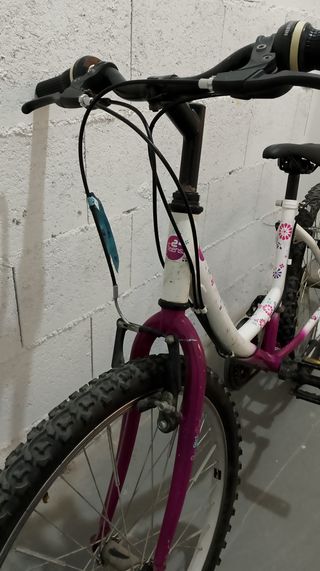 Bicicleta juvenil 24 pulgadas