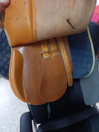 Montura inglesa marca saldi