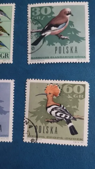 Sellos Polonia Aves - Lote 59