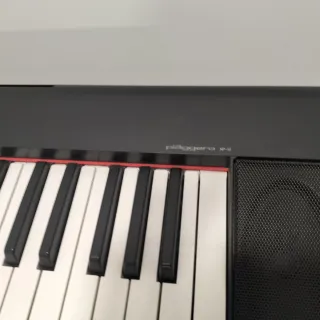 Teclado Yamaha Piaggero, pedal soporte y banqueta