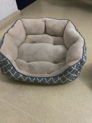 Cama para perro pequeño