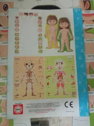 Puzzle Cuerpo Humano Educa 4-7 Años