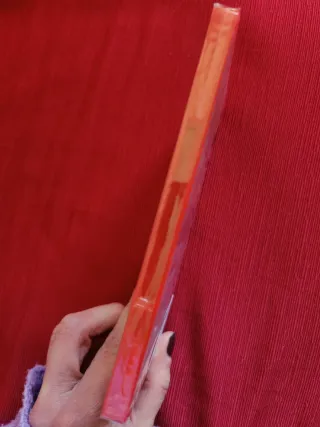 Wild Hearts S Nintendo Switch 2 Juego.