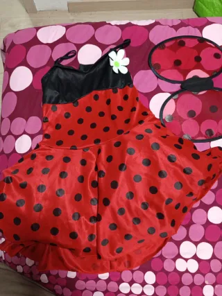 Disfraz Mariquita Talla M-L