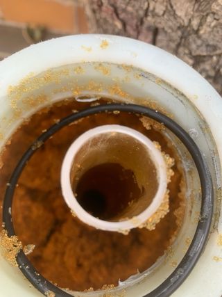 Resina descalcificador