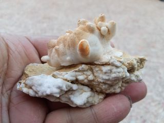 Calcita botroide su matrice collezionista