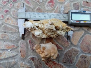 Calcita botroide su matrice collezionista