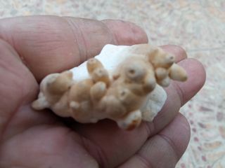 Calcita botroide su matrice collezionista