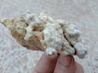 Calcita botroide su matrice collezionista