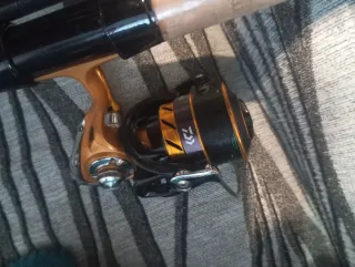 Conjunto cañas y cebadores feeder