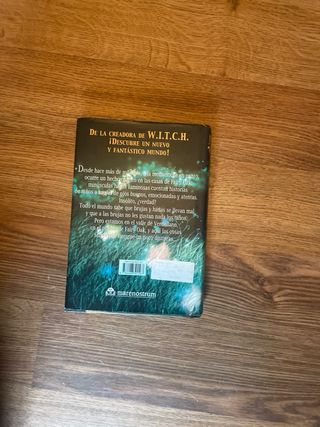 Libro Il Segreto delle Gemelle Fairy Oak