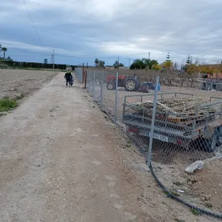 Alquiler de parcela Martíno