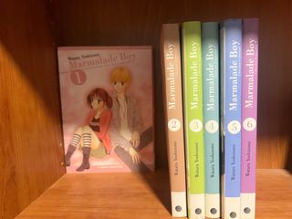 Marmalade Boy Wataru Yoshizumi